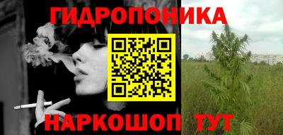 крисы Кунгур
