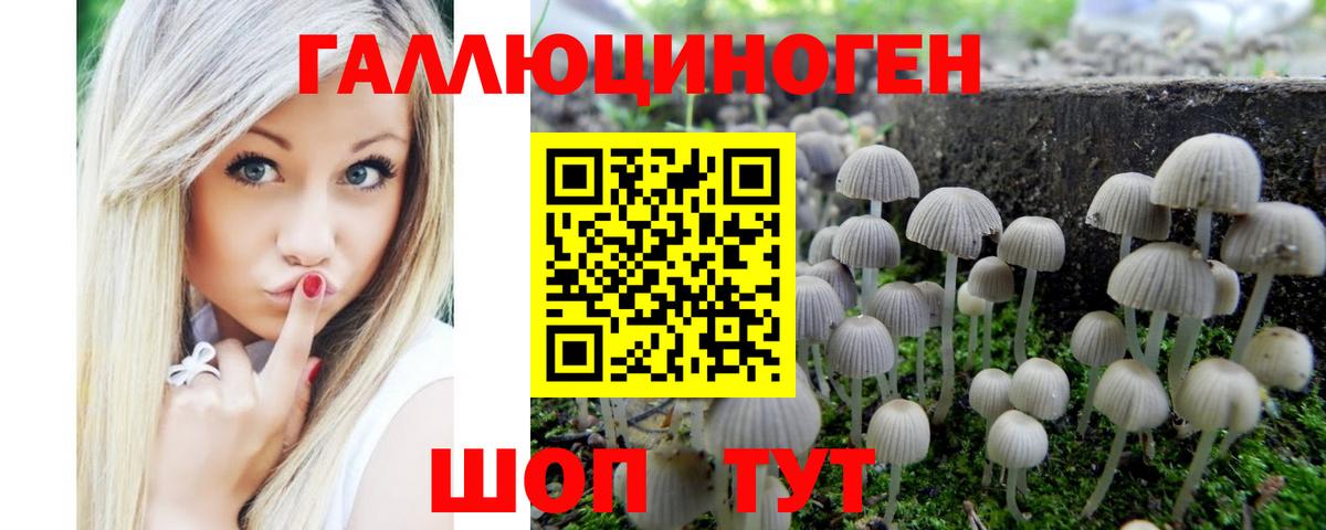 Галлюциногенные грибы мухоморы  Галлюциногенные грибы прущие грибы  Изобильный  Вход с VPN 