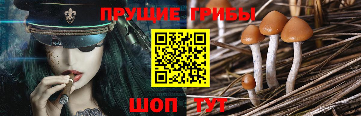 Галлюциногенные грибы мухоморы Изобильный